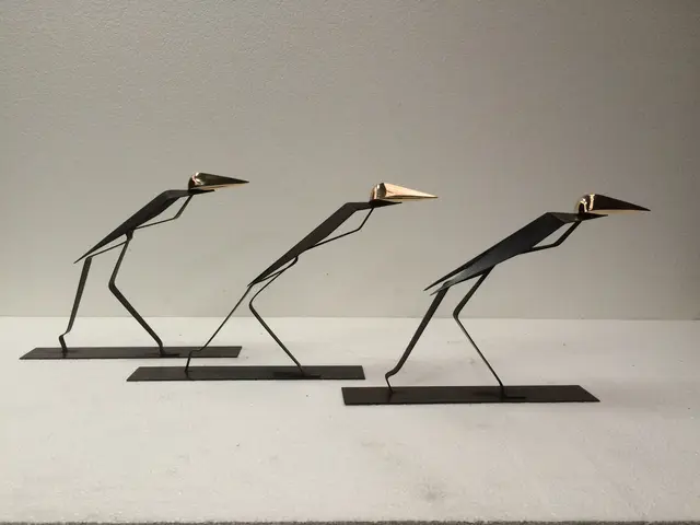 Vrijbuiters