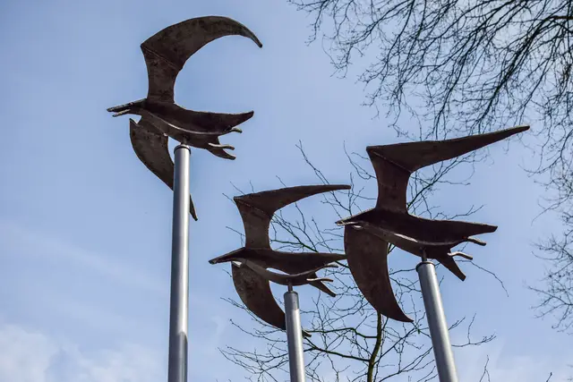 Vogels, Aluminium